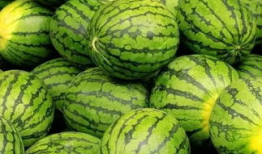 每日大赛吃瓜网91,揭秘电竞圈幕后风云